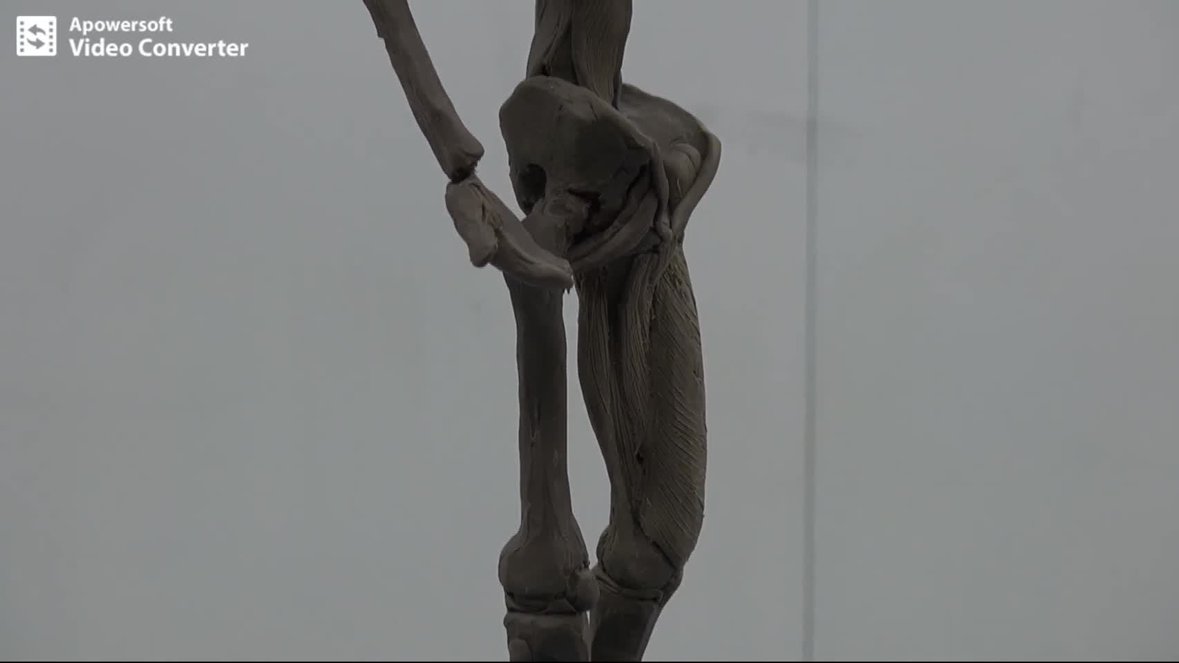 つくって発見！　美術解剖学の魅力　⑩大腿四頭筋　ほんとは背中側の筋...