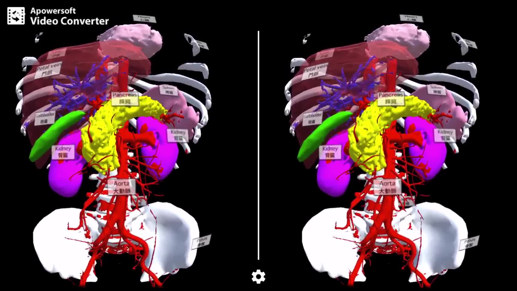 特集　VR/AR/MR　教育への応用最前線　参考映像 人体の内臓のMR画像（杉本真樹先生提供） スマ...